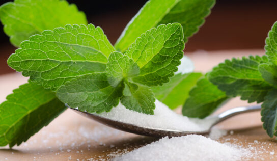 Stevia: Der Zuckerersatz für das gesunde süße Leben