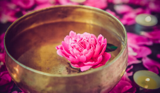 Ayurveda – Lebensphilosophie für ein gesundes Leben