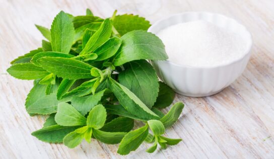 Lieber Stevia als Zucker? Wir erklären Vor- und Nachteile