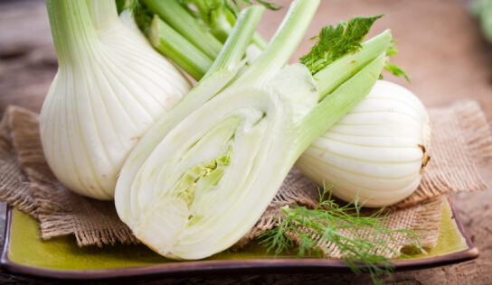 Fenchel – die gesunde Powerknolle