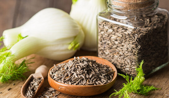 Fenchel