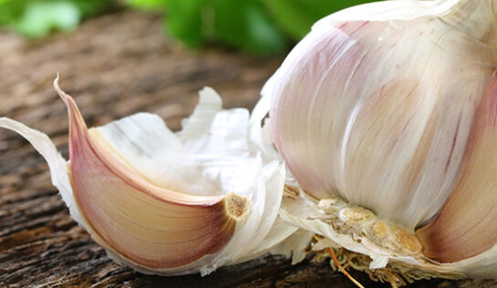Knoblauch